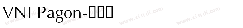 VNI Pagon字体转换